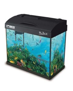NEW MOBY DICK  TROPICAL  BLACK